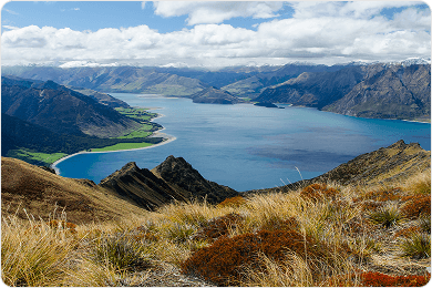 Flights to New Zealand
